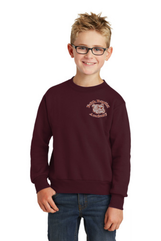 Faith Baptist Youth Sweatshirt